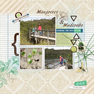 muddy mangroves