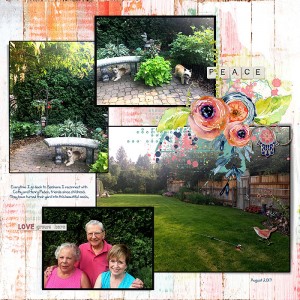 2017-trip-to-Spokane-Cathy-and-Henry's-place