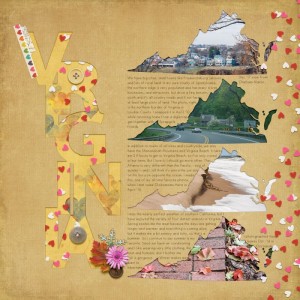 Tech ss - cutout - Virginia