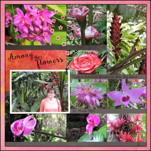 18mar_Hawaii Garden