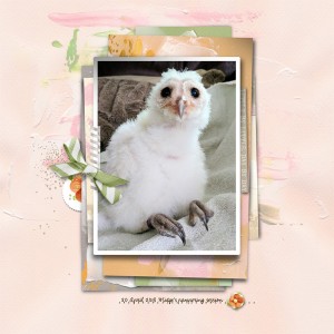 Midge’s pampering session