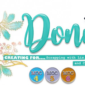 iNSD Spring Signature