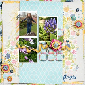 Spring-Flowers