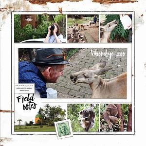 Wommbye Zoo