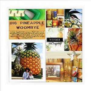 The Big Pineapple