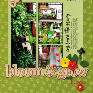 2018-05_May-TLP_Slow-Scrap_0504_web