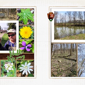 Wildflower Hike at Friendship Hill National Historic Site