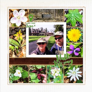 Wildflower Hike at Friendship Hill National Historic Site_left