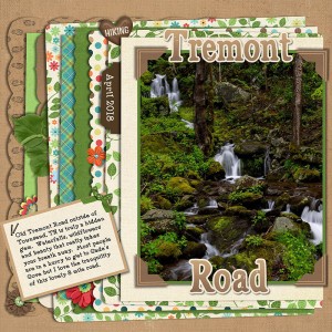 Tremont Road - MIS