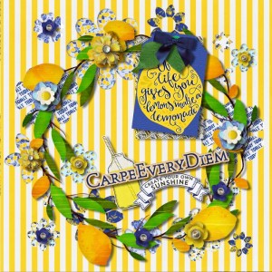 Make-lemonade