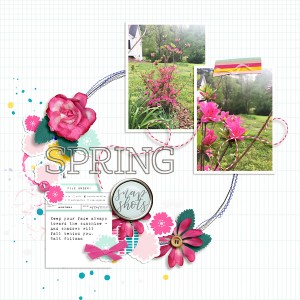 Spring Snapshots