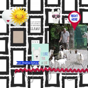 18may05_llama