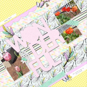 2018.05.13 Tulips