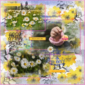 Lynn Grieveson-May-Recipe Challenge-Daisy Days