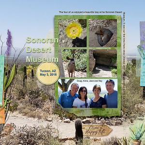 Sonoran Desert - DI May Chall.web
