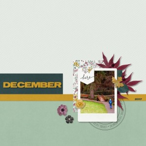 1of December 2017 - Right