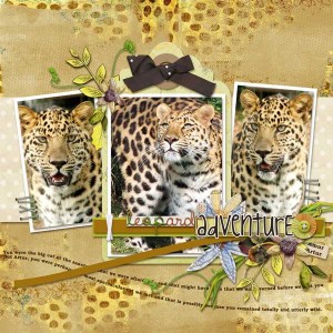 Safari Adventure