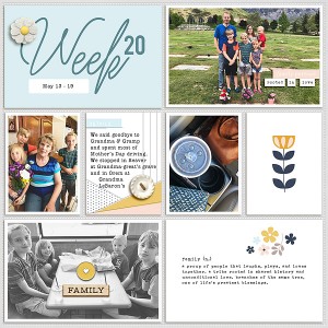 2018 Week 20 - left side