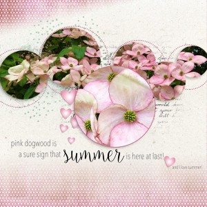 Sign of Summer