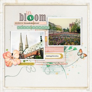 In bloom