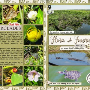 Everglades2
