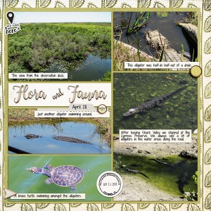 Everglades2_right