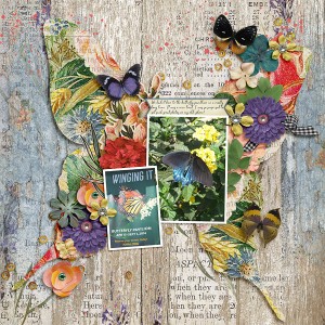 2014-04_fdd-ButterfliesAndBlossomsDU_etcdan-SitASpell_web