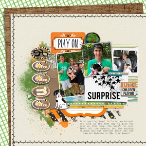 puppy surprise!