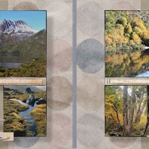Tassie