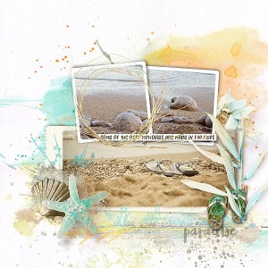 Footprints in the Sand