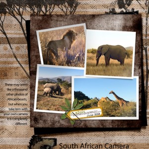 06-18_Safari