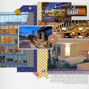 DC Trip page 2