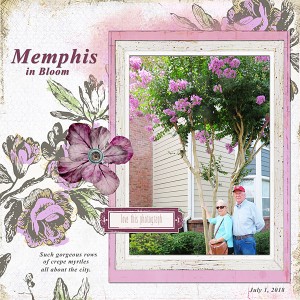July2018_LynnGrieveson Chall_we