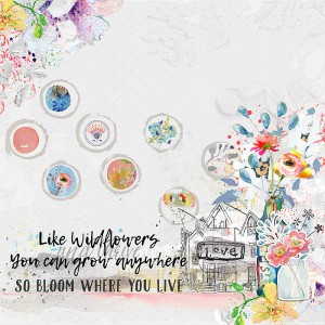Bloom where you live