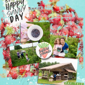 June-2018-Trip-to-Berry-Patch