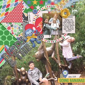 BIRDS & THE MONKEYS