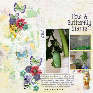 20120602 How a butterfly starts