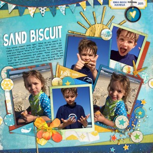"Sand Biscuit"