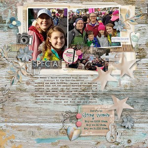 2017-women's-march-