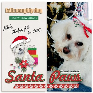 Santa Paws
