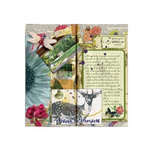 CIJ-Traveler's Notebook Day 1
