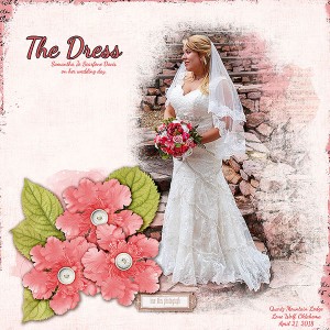 The Dress