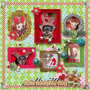 Reindeer-gallery