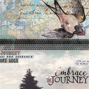 (photography-day 8) Embrace The Journey