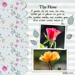 The Rose - August Challenge