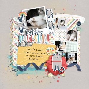 Paw-sitive