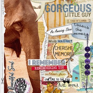 2018-08_August-TLP_Style_Collage_web