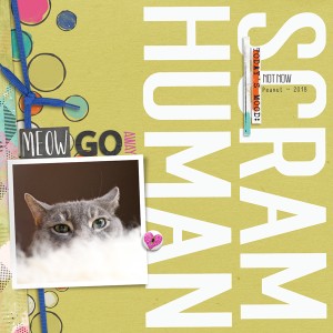 Scram-Human