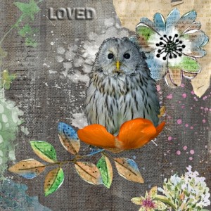 Aug Dawn Owl  - Inspiration