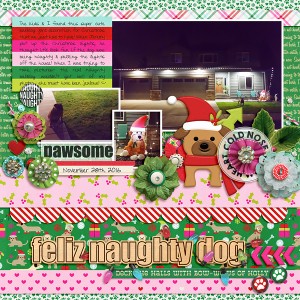 Feliz Naughty Dog